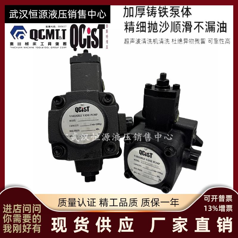 现货QCIST秦川奇斯特VVP20B/55 VVP30B/55 VVP40B/70叶片油泵