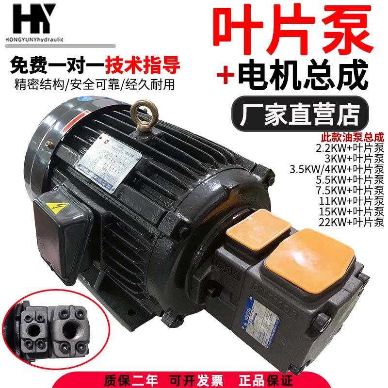 液压油泵电机组PV2R1+3KW5.5KW液压泵总成内轴电机液压站配件系统