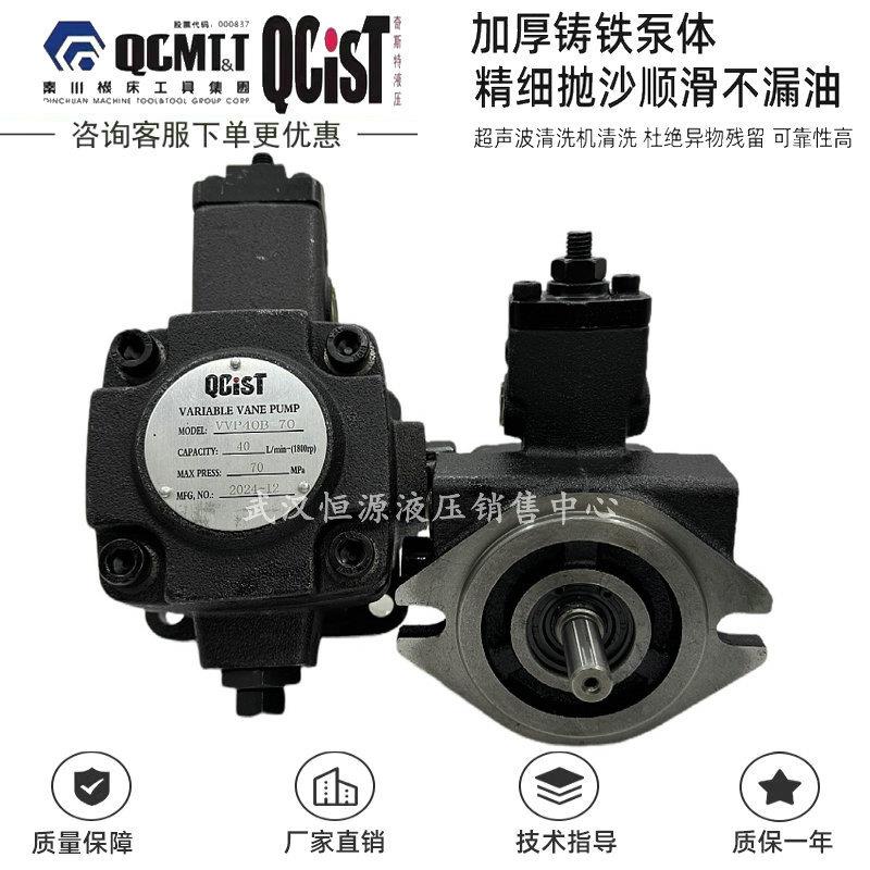 QCIST秦川奇斯特液压VVP20B/70油泵VVP12 15B/20 VVP30 40B/35 55
