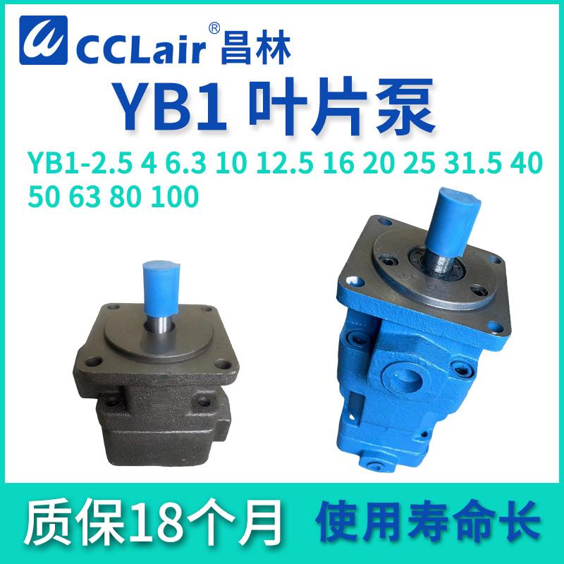 YB-E10液压6.3油泵12叶片泵16 20 25 32 YBE40 50 63 80双联泵100
