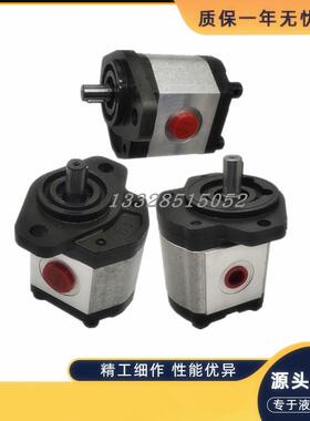 土耳其BLUE ASCEND齿轮泵AP30.170/220/270/320/340/380/430R油泵