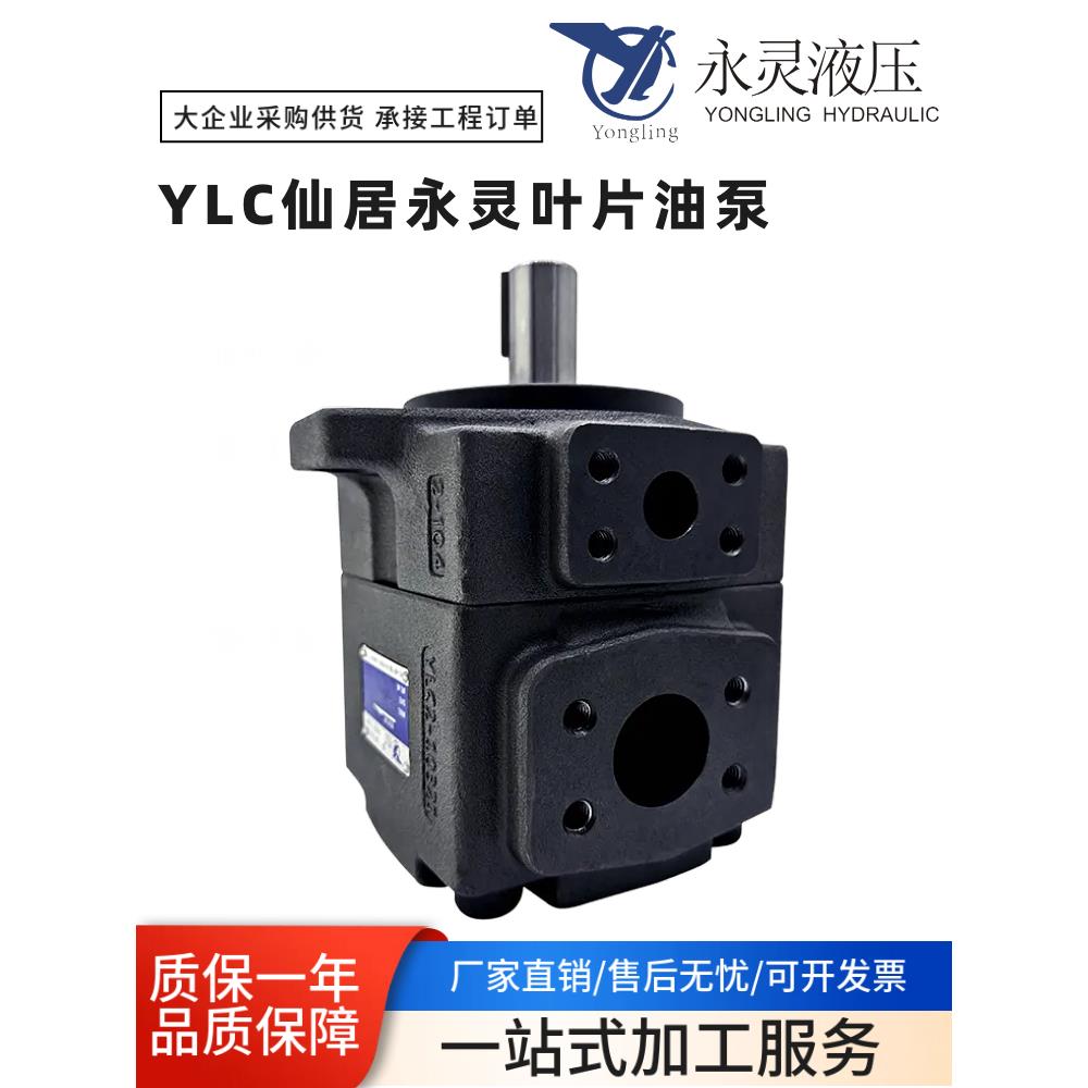 YLC仙居永灵PV2R2-26 33 41 47 53 59 65 70 75 85F1液压叶片油泵