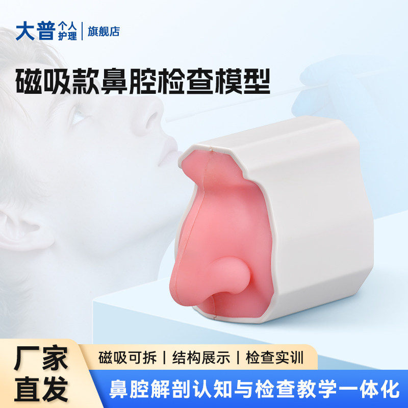 鼻腔解剖模型磁吸检查