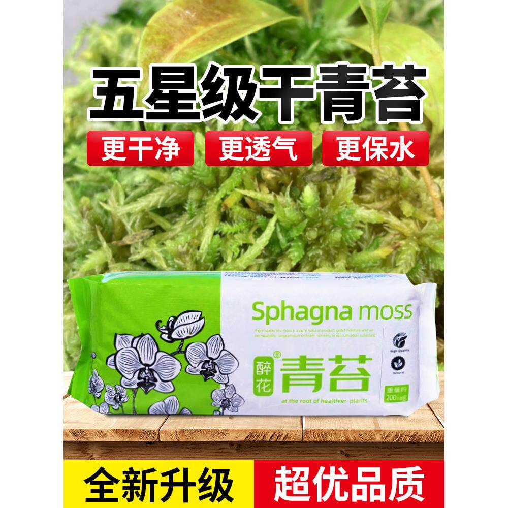 水苔蝴蝶兰专用的营养土干苔藓种植营养土石斛兰花爬宠垫材纯天然
