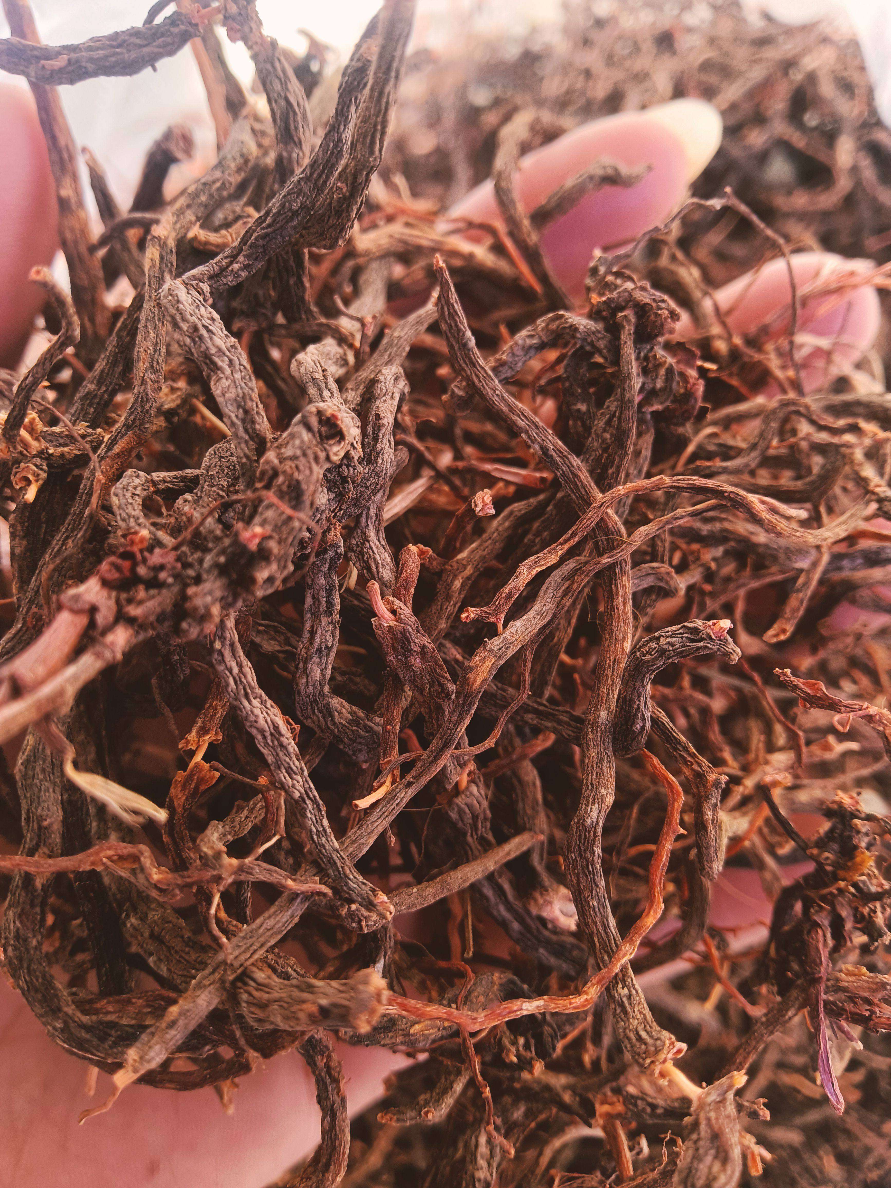 云南大山深处自然生长纯正小红参，滇紫参，小舒筋，