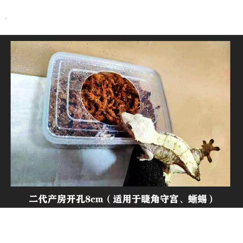 守宫产房豹纹肥尾壁虎下蛋盒孵化盒珍珠岩蛭石蛇无介质产房