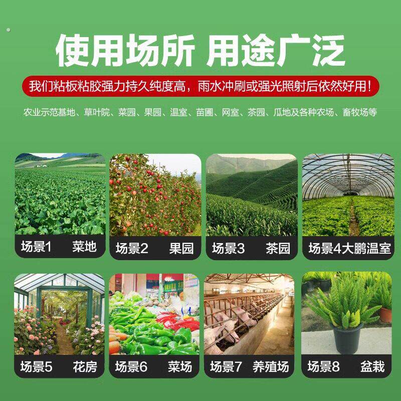 粘虫板黄板双面诱虫板贴纸灭小飞虫沾果蝇诱捕器果园蚊子苍蝇大棚