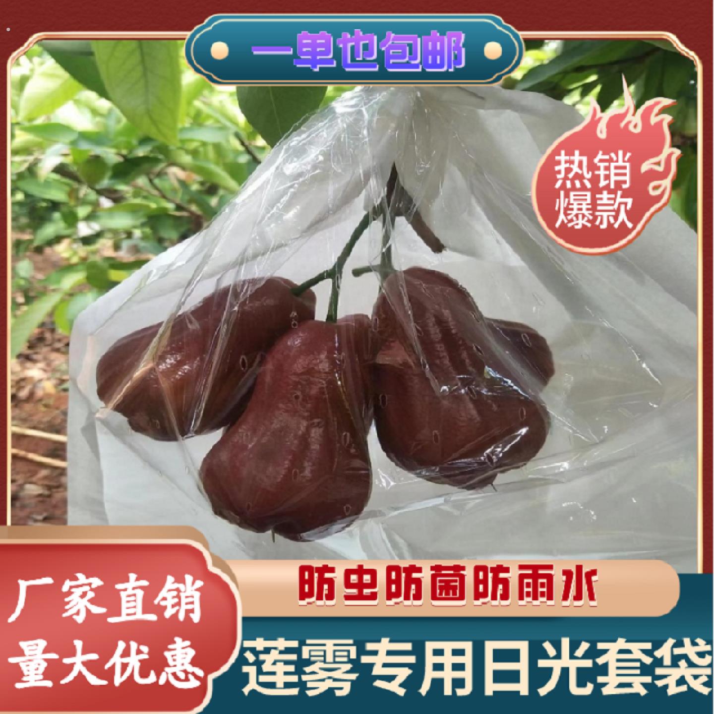 莲雾套袋专用袋洋浦桃日光袋荔枝龙眼防水袋防虫半透明套袋侧开窗