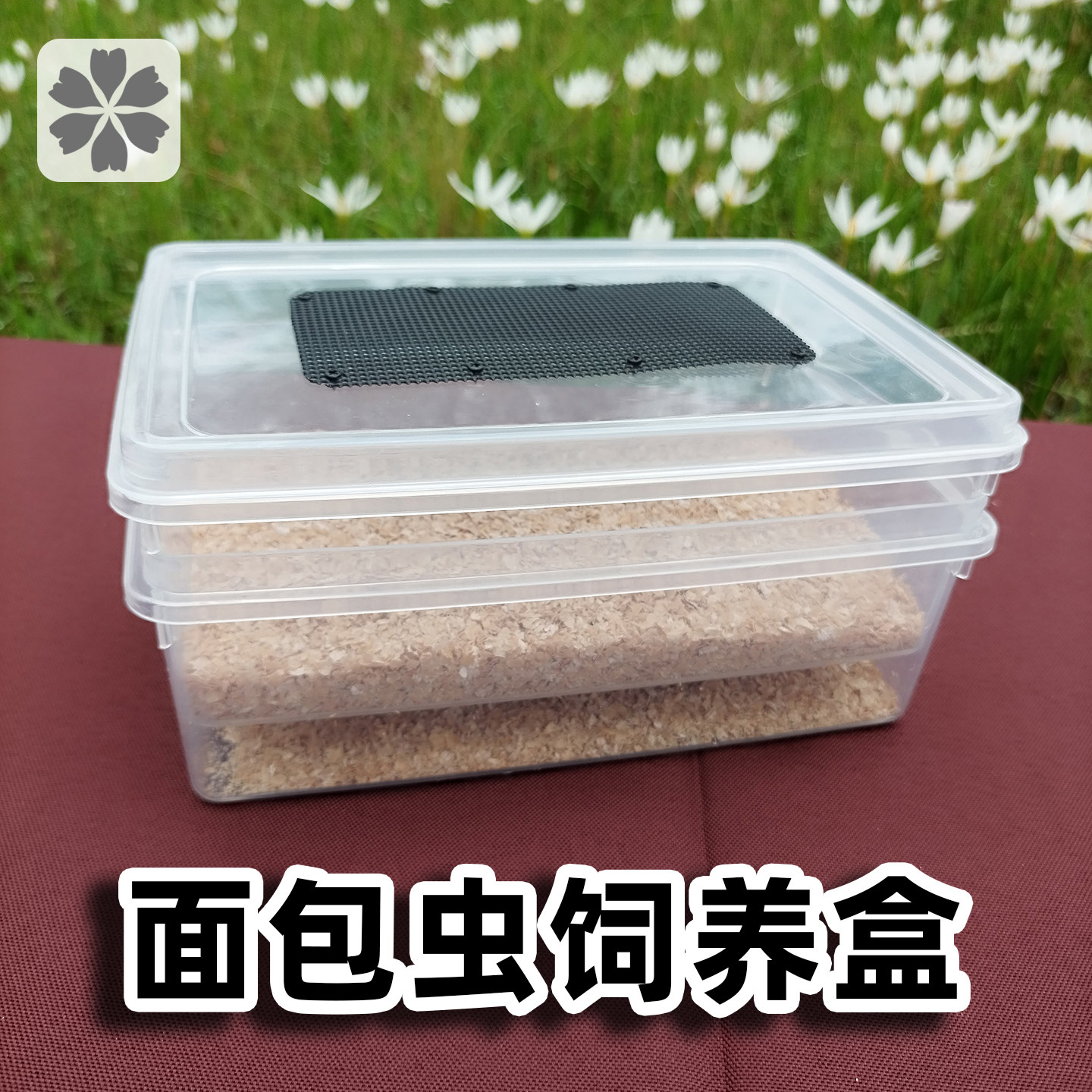 面包虫饲养盒透明透气大麦虫盒子