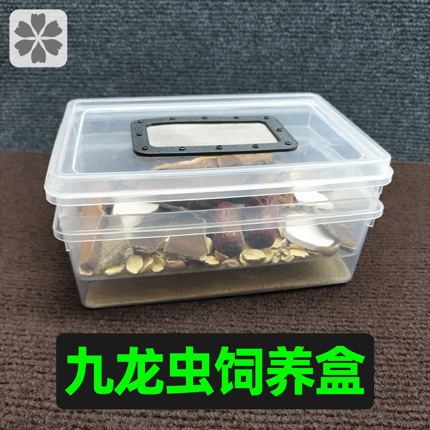 九龙虫饲养盒透明透气饲养箱