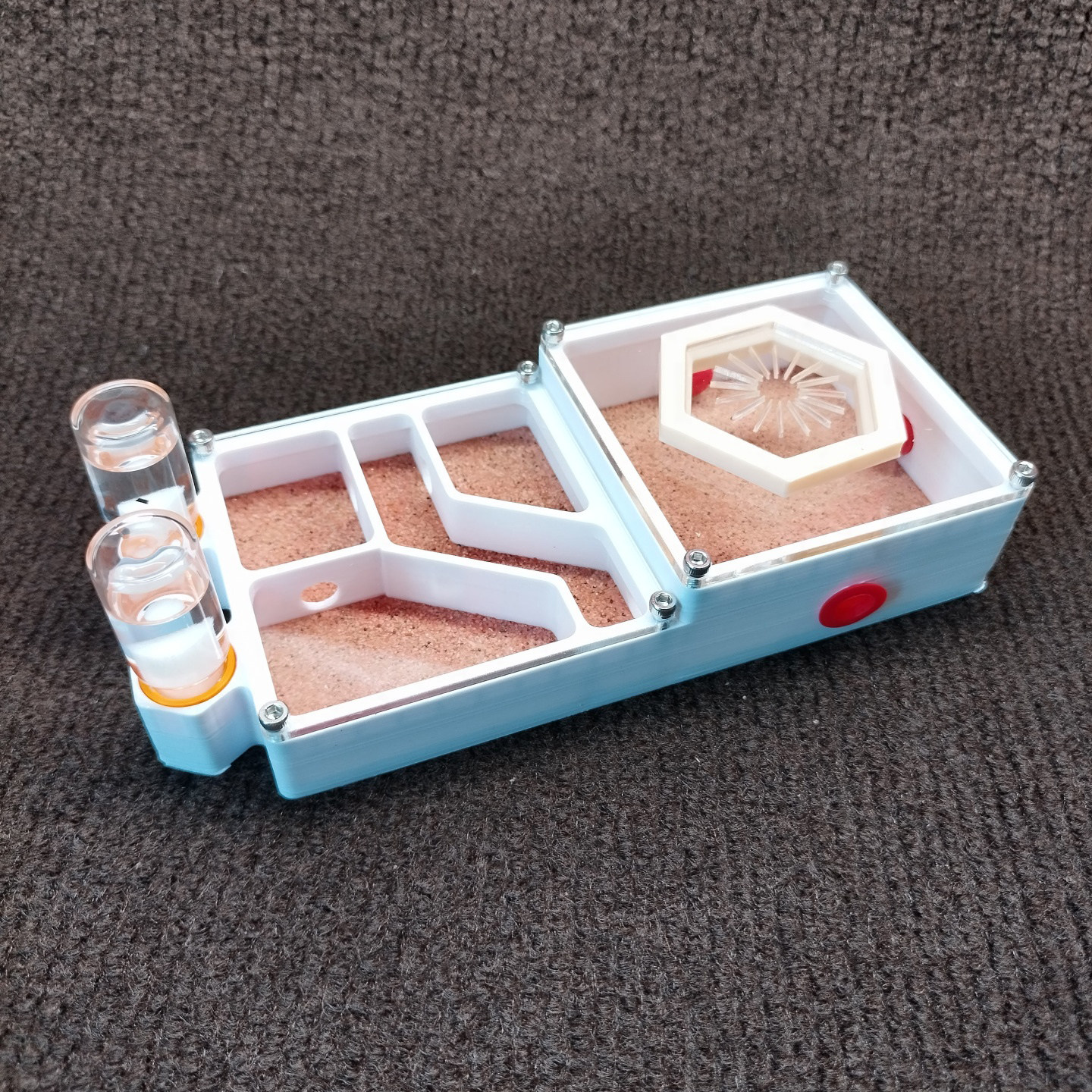 蚂蚁饲养盒3D打印石膏底大活动