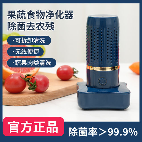 小型胶囊水果净化器果蔬机清洗机线食材去农残洗菜机消毒机
