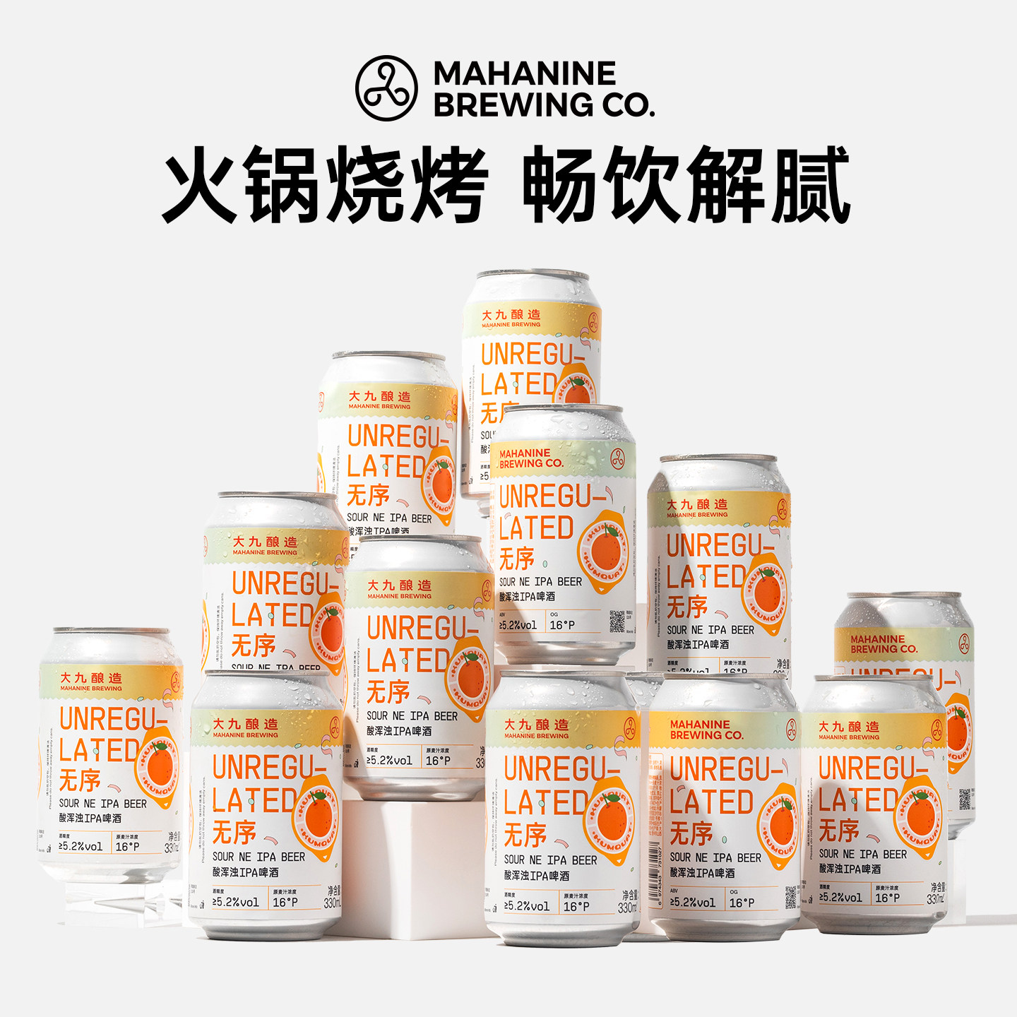 大九酿造无序精酿啤酒
