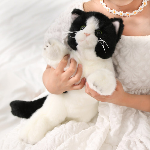 英短日系超萌橘猫猫咪毛绒玩具