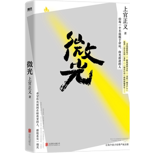 微光 上官正义 著 感动全网的真实故事 写给每一个不屈服于命运 向光前进的人 纪实文学 现代当代文学励志成长 磨铁图书 正版书籍