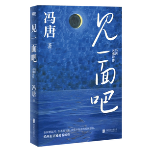 见一面吧 冯唐灵魂诗作 305首灵魂诗作 给所有正被爱着的你 中国近代随笔文学现代诗词 磨铁图书 正版书籍