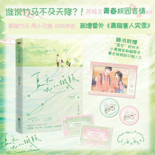 夏天无从抵赖关抒耳小说