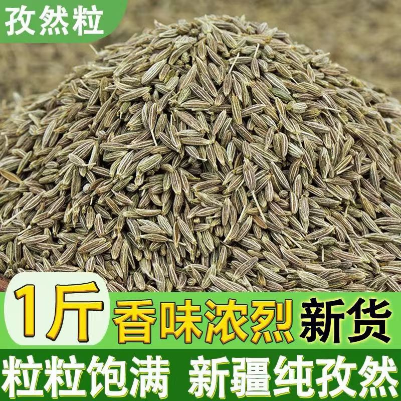 孜然撒料商用腌羊肉串羊肉料500g