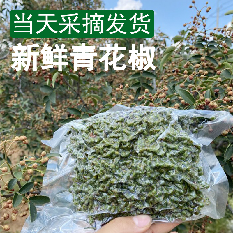 新花椒新鲜青花椒真空保鲜