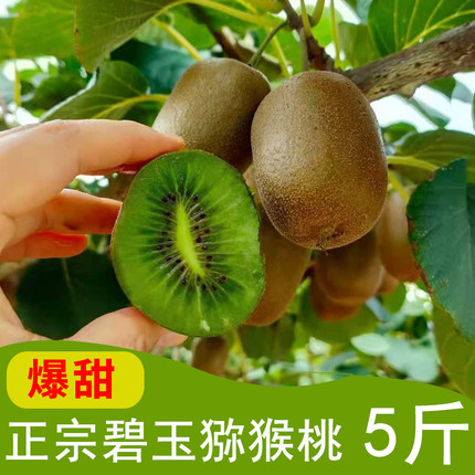 奇异果猕猴桃5斤装 新鲜现摘绿心纯甜碧玉农家自种非翠香