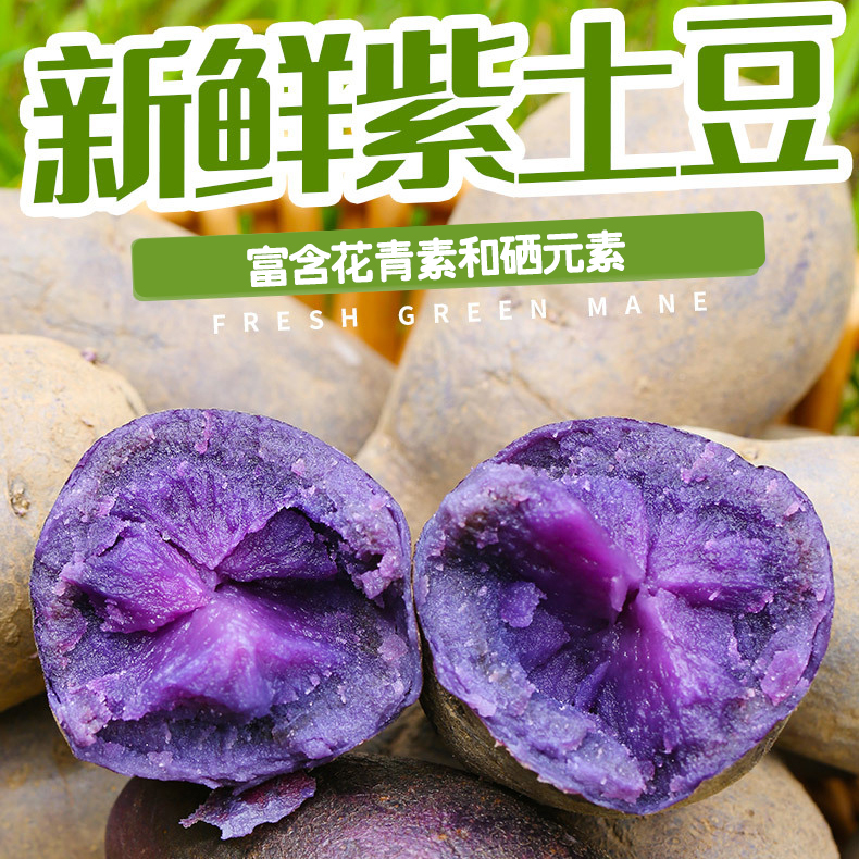 富含花青素土豆新鲜紫马铃薯