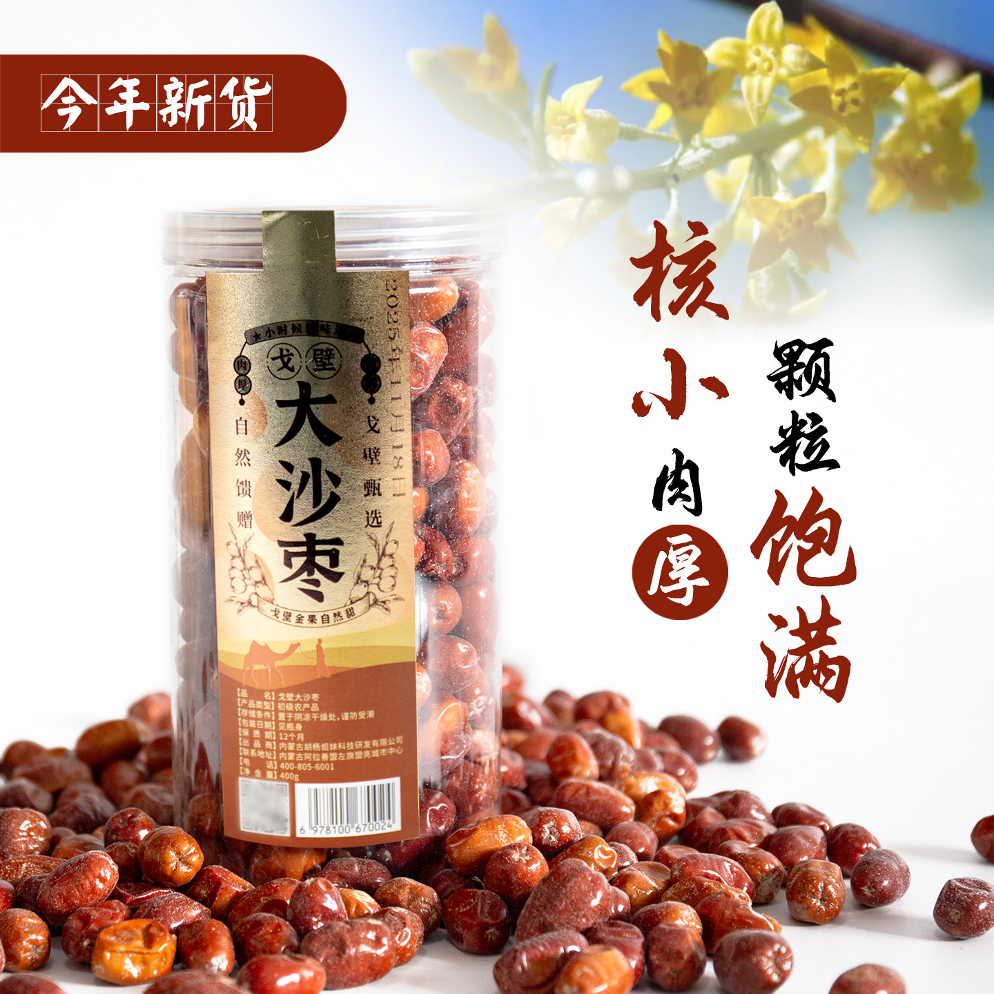 戈壁大沙枣阿拉善额济纳特产新货