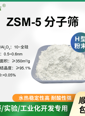 粉末H-ZSM-5分子筛100g纳米级hzsm5分子筛 中低高硅HZSM-5分子筛