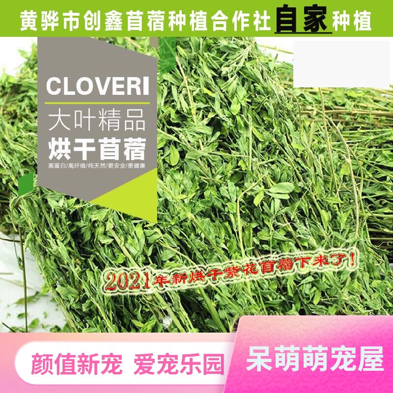 紫花苜蓿草干草头茬烘干苜蓿草饲料幼兔兔子草龙猫草荷兰猪草兔粮 多多优品 紫花苜蓿草干草头茬烘干苜蓿草饲料幼兔兔子草龙猫草荷兰猪草兔粮 多多优品