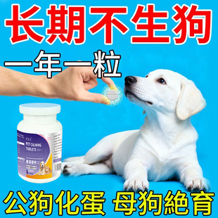 狗狗永久绝育药发情克制药公母狗通用防止狗嚎叫乱尿厌食禁情药