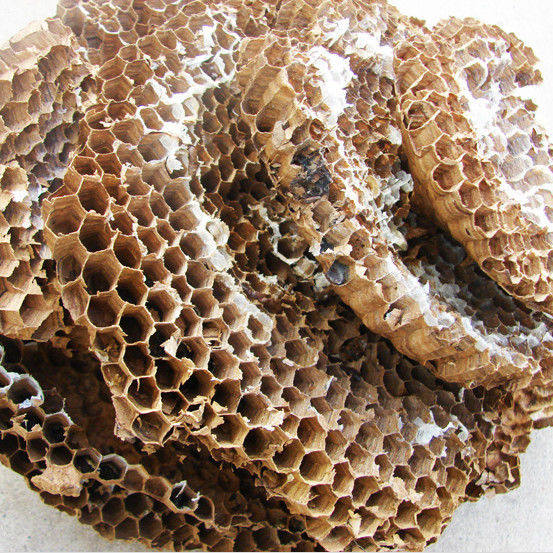 贵州大眼蜂房整个蜂房软蜂房露蜂房马蜂窝非炒蜂房野生中药材包邮 - 实物图