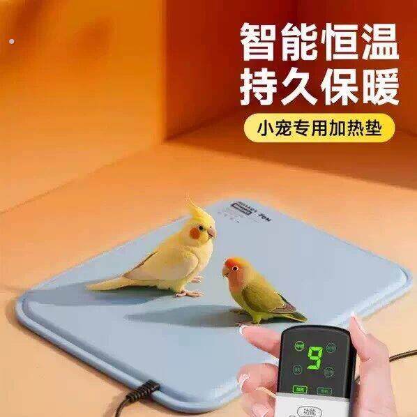 鹦鹉加热垫小型宠物电热毯可控温防水恒温垫迷你电褥子取暖发热垫
