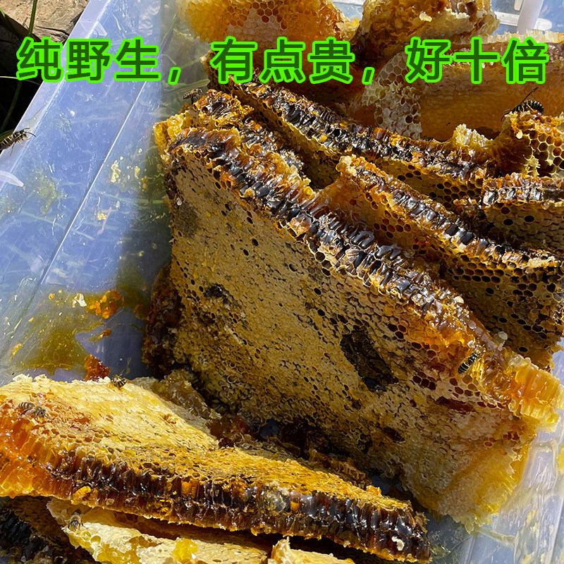 蜂巢蜜秦岭野生蜂巢蜜野生蜂窝蜜纯正土蜂巢蜜嚼着吃留坝太白深山