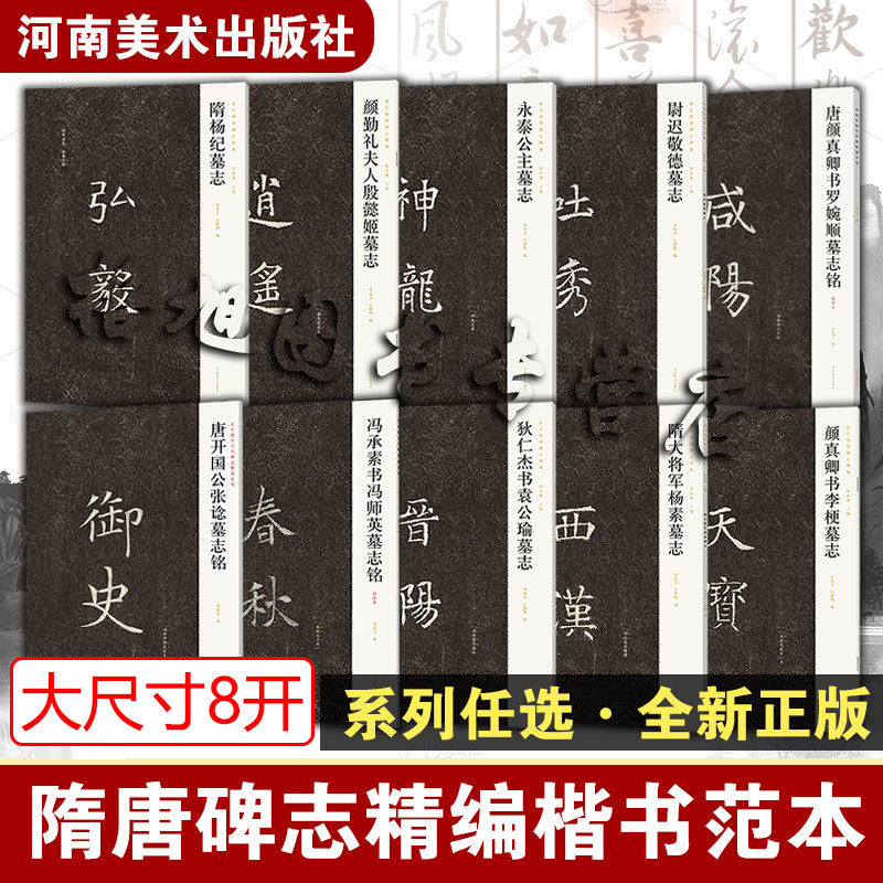 新出隋唐碑志精编10本【隋杨纪墓志/隋大将军杨素墓志/颜勤礼夫人殷懿姬墓志/颜真卿书李梗墓志等】楷书书法学习者临摹和欣赏范本图片