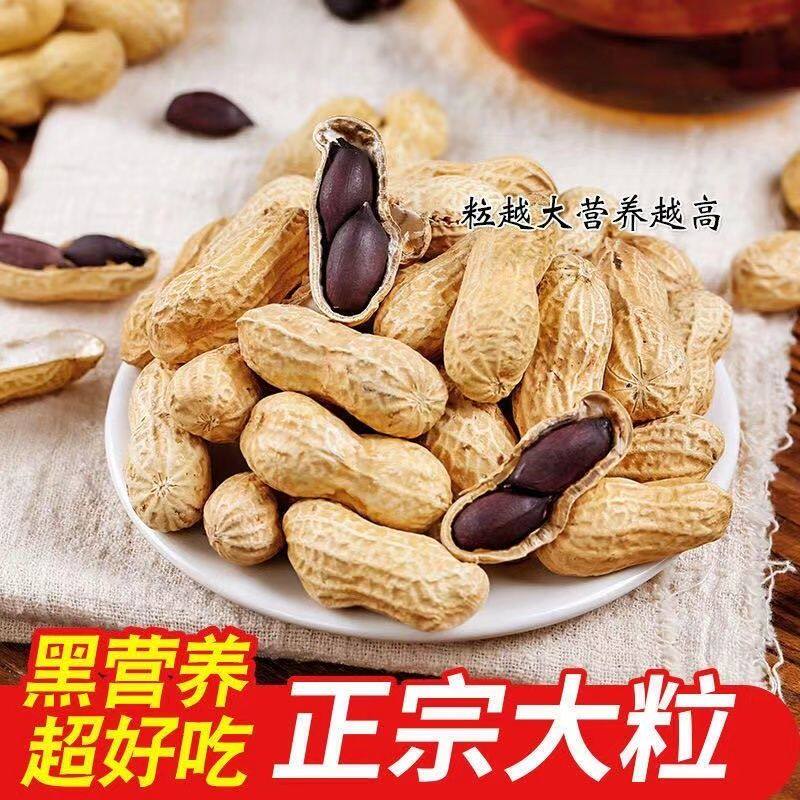 【工厂直销】新货黑花生生自然晒黑皮花生干黑紫色花生米带壳正宗
