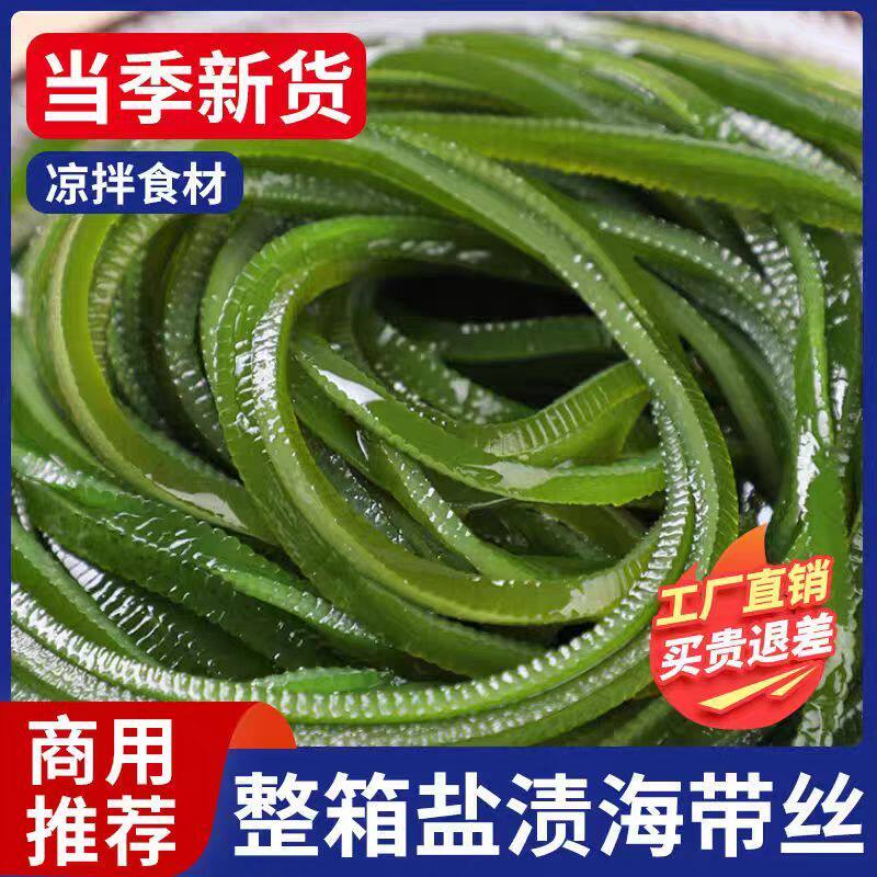 盐渍海带丝新货非干货新鲜海带长厚丝藻菜凉拌火锅商用批发一整箱