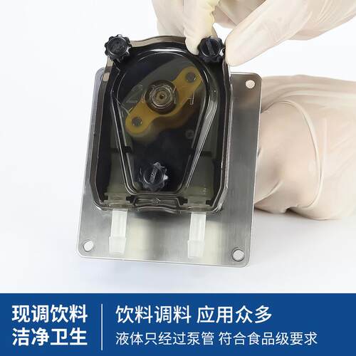杰恒203KA微泵型蠕动小型蠕JIHPUMP/泵计量密泵封蠕动泵 自制动蠕