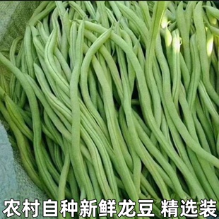湖北农家豆角无筋芸豆龙豆自种豆角新鲜蔬菜架豆王现摘现发包邮
