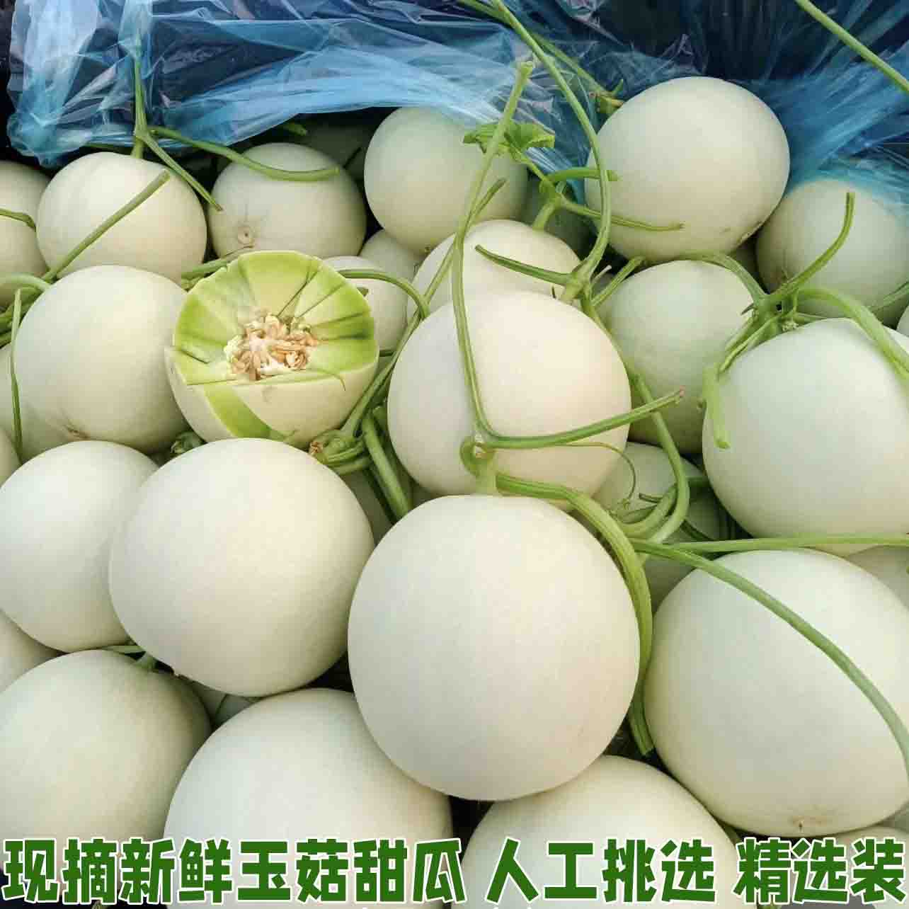 正宗玉菇甜瓜新鲜水果整箱当季香瓜蜜瓜冰淇淋瓜脆甜蜜瓜