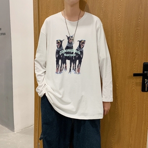 TC4006P30美式高街男2023春秋季新款潮流嘻哈中大童长袖百搭圆领图片
