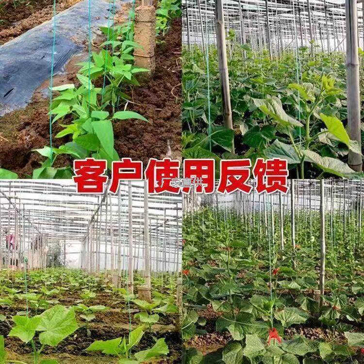 塑料绳大棚吊秧绳蔬菜辣