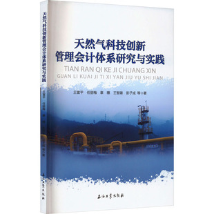 天然气科技创新管理会计体系研究与实践王富平 等9787518350322书籍\/杂志\/报纸/工业/农业技术/能源与动力工程
