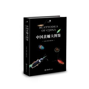 中国蜚蠊大图鉴王宗庆,邱鹭,车艳丽 著9787568942010书籍\/杂志\/报纸/自然科学/生命科学/生物学