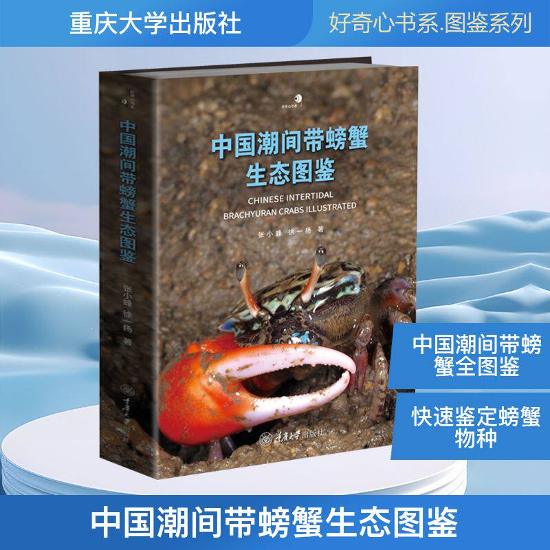 中国潮间带螃蟹生态图鉴张小蜂,徐一扬 著9787568937719书籍\/杂志\/报纸/自然科学/生命科学/生物学