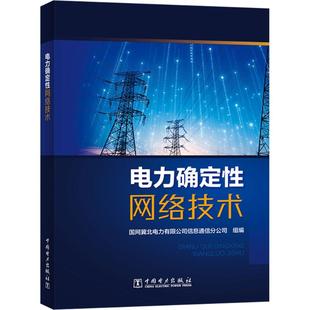 电力确定络技术国网冀北电力有限公司信息通信分公司 组编 编9787523904503书籍\/杂志\/报纸/工业/农业技术/建筑/水利（新）