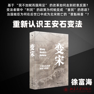 变宋 王安石改革的逻辑与陷阱徐富海9787301338414书籍\/杂志\/报纸/历史/中国史/中国通史