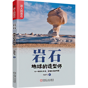 杂志 造型师马志飞9787111743538书籍 报纸 儿童读物 科普百科 岩石 童书 地球
