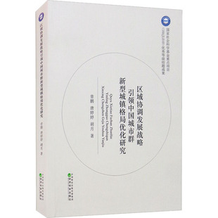 区域协调发展战略中国城市群新型城镇格局优化研究曾鹏 胡月9787521821154经济 经济理论 唐婷婷