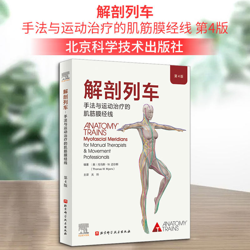 解剖列车 手法与运动治疗的肌筋膜经线 第4版(美)托马斯·W.迈尔斯 编 关玲 译9787571425982书籍\/杂志\/报纸/医学卫生/外科学