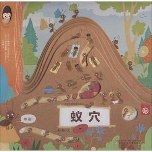 动物王国创意形状书 蚁穴(捷克)佩特拉·巴尔季科娃(Petra Bartikova)9787531576587书籍\/杂志\/报纸/儿童读物/童书/科普百科
