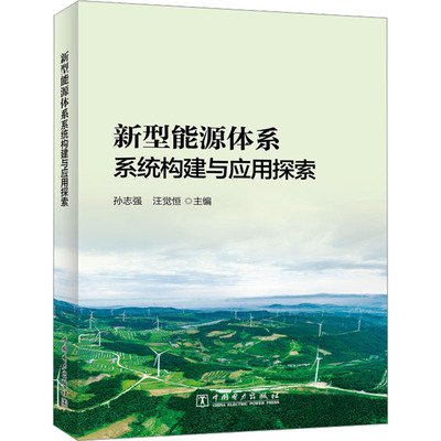 新型能源体系系统构建与应用探索孙志强,汪觉恒 编9787519892203书籍\/杂志\/报纸/工业/农业技术/能源与动力工程